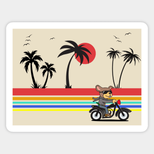 Dog riding a motorcycle along the beach with palm trees and a sunset Sticker